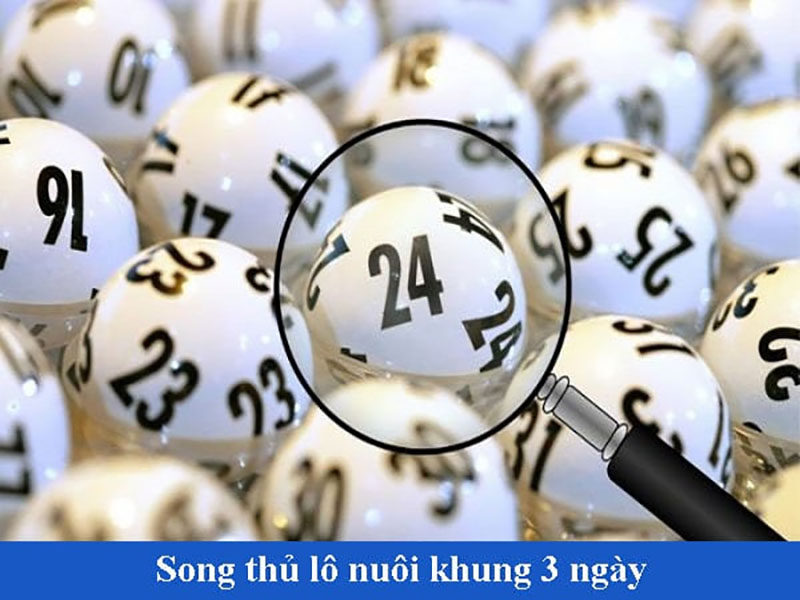 Song Thủ Nuôi Khung 3 Ngày là gì? Cách để nuôi lô chuẩn Cách bắt song thủ nuôi khung 3 ngày là gì ra sao? Là phải soi cầu và phân tích kết quả trước đó