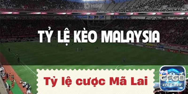 Khám phá tỷ lệ cược Mã Lai cùng CF68.CITY nhé!