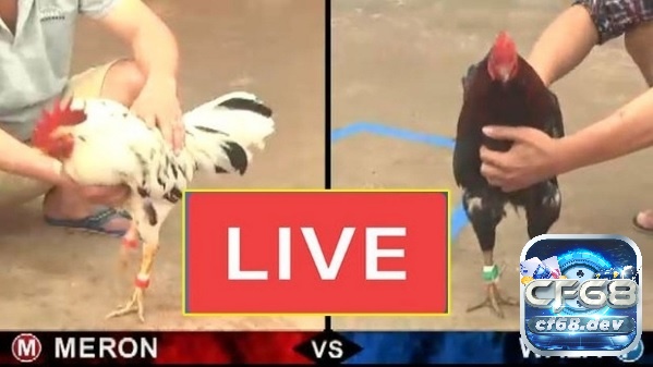 Đảm bảo an toàn, uy tín và minh bạch nên mọi vé cược của anh em đều xanh chính nhất